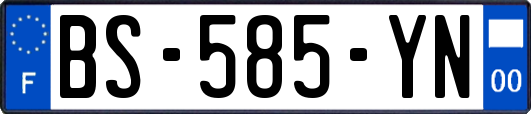 BS-585-YN