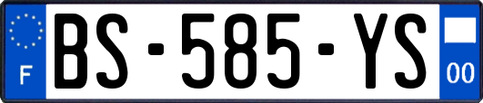 BS-585-YS