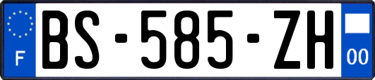 BS-585-ZH