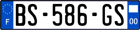 BS-586-GS