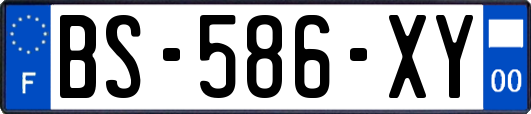 BS-586-XY