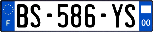 BS-586-YS