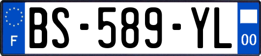 BS-589-YL