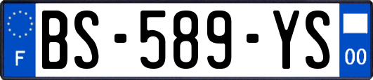 BS-589-YS
