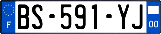 BS-591-YJ
