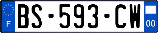 BS-593-CW