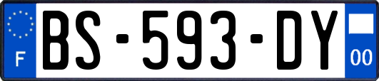 BS-593-DY