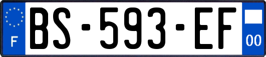 BS-593-EF