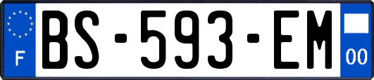 BS-593-EM