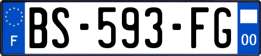 BS-593-FG