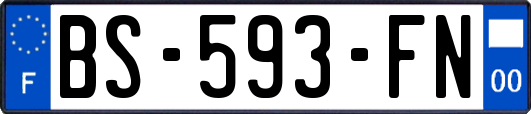 BS-593-FN
