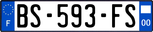 BS-593-FS