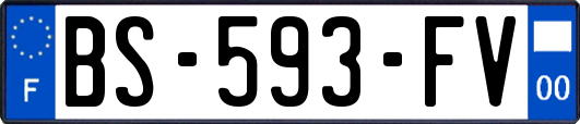BS-593-FV