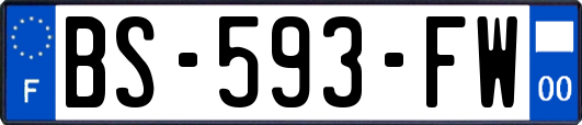 BS-593-FW