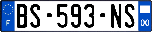 BS-593-NS