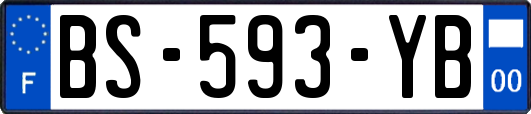 BS-593-YB