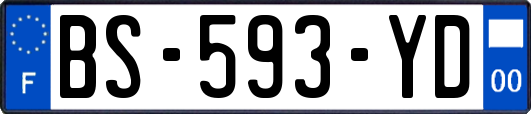 BS-593-YD