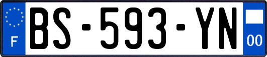 BS-593-YN