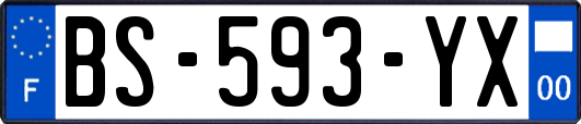 BS-593-YX