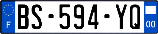 BS-594-YQ