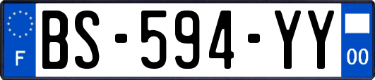 BS-594-YY