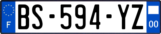 BS-594-YZ