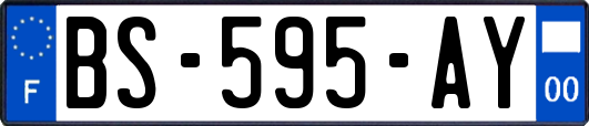 BS-595-AY