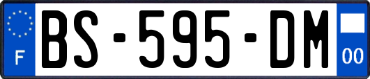 BS-595-DM