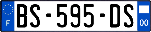 BS-595-DS