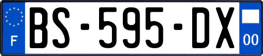 BS-595-DX