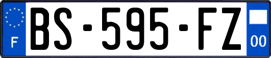 BS-595-FZ