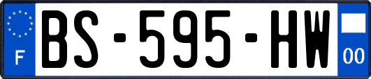 BS-595-HW