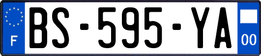 BS-595-YA