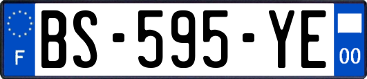 BS-595-YE