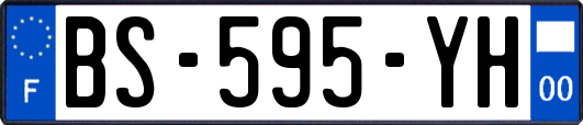 BS-595-YH