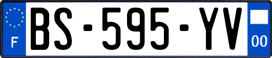 BS-595-YV