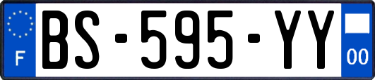 BS-595-YY