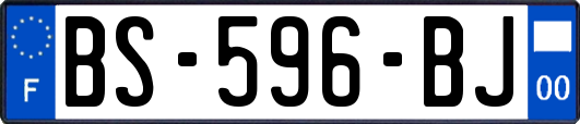 BS-596-BJ