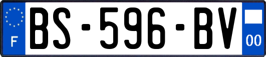 BS-596-BV