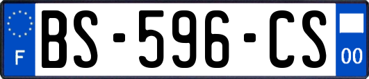 BS-596-CS