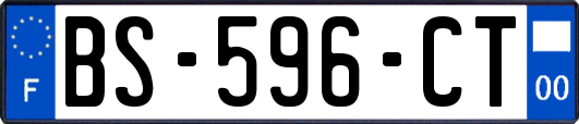 BS-596-CT