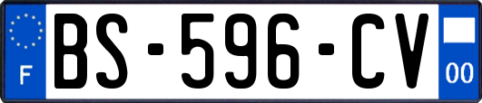 BS-596-CV