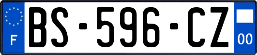 BS-596-CZ