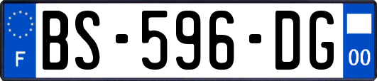 BS-596-DG