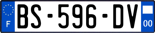 BS-596-DV