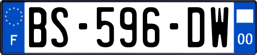 BS-596-DW