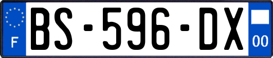 BS-596-DX