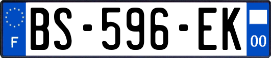 BS-596-EK
