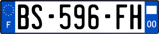 BS-596-FH