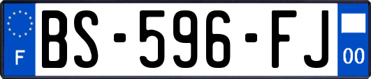 BS-596-FJ